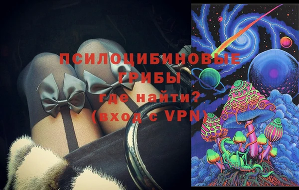 МДПВ Алексеевка