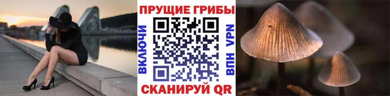 Галлюциногенные грибы ЛСД  Нижнеудинск 