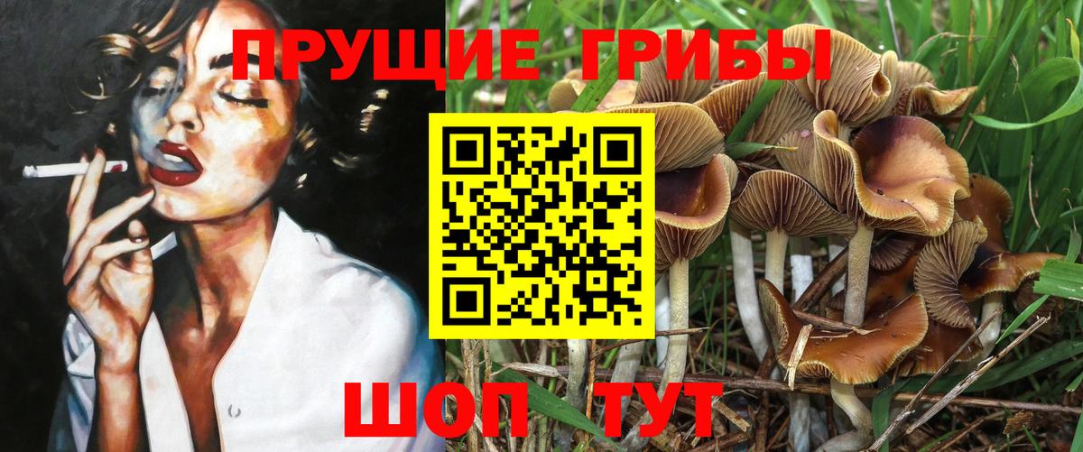 Псилоцибиновые грибы Cubensis  Вход с VPN  Нижнеудинск  Псилоцибиновые грибы MAGIC MUSHROOMS 