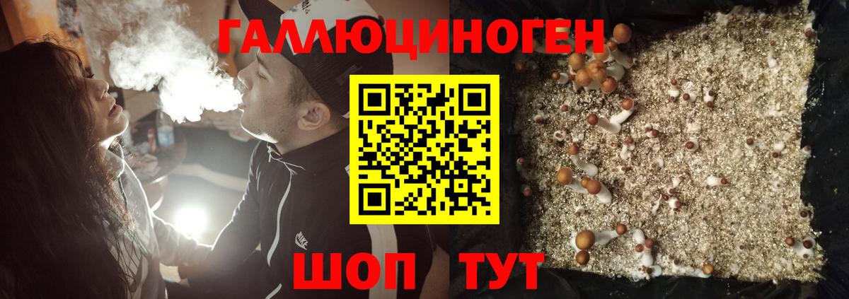 Псилоцибиновые грибы ЛСД Нижнеудинск